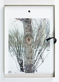 Andreas Eriksson, Almanacka 2011.