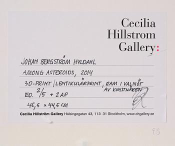Johan Bergström Hyldahl, "Among Asteroids".