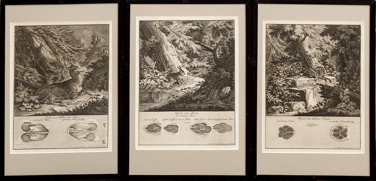 Johann Elias Ridinger, six copper engravings, Germany 18th Century.