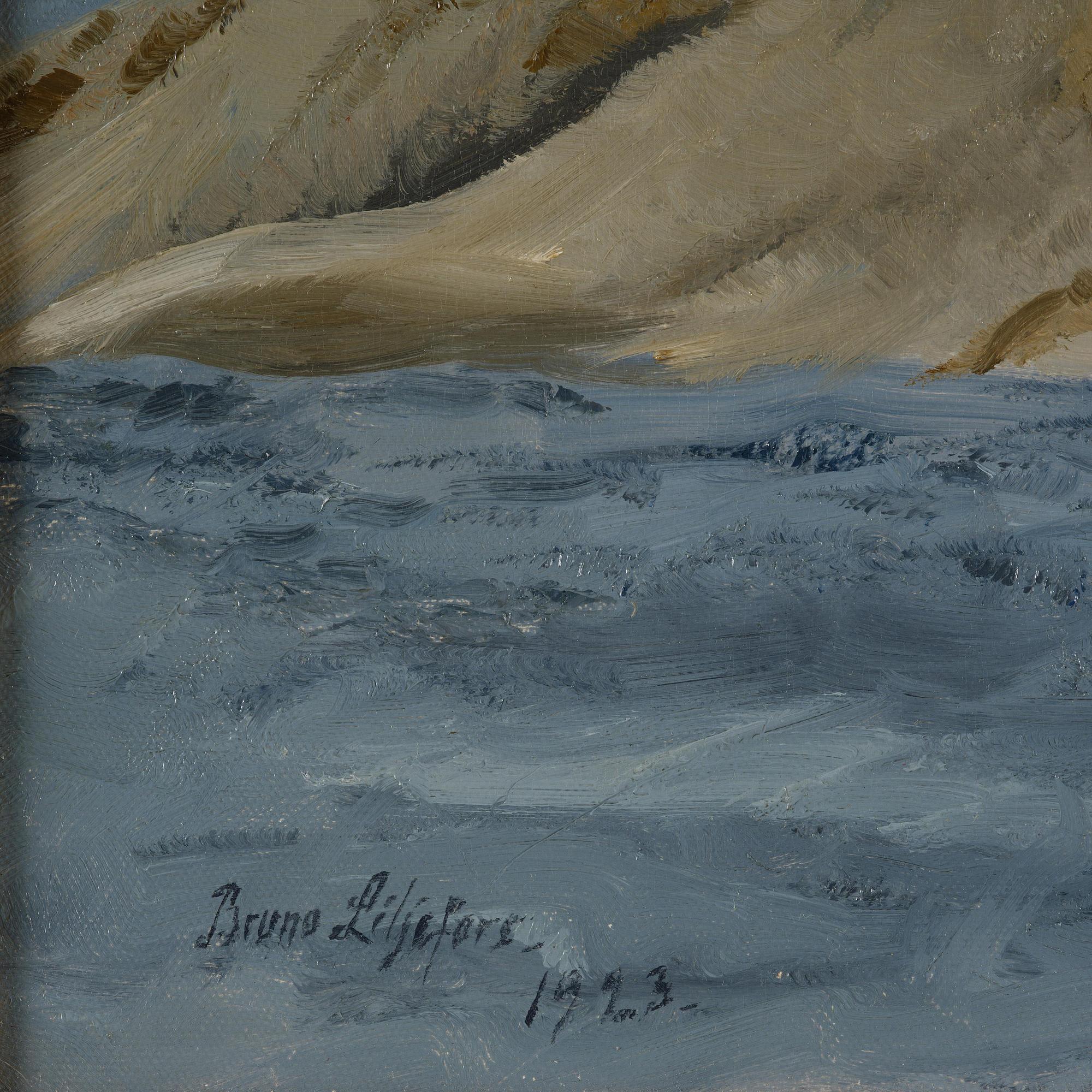 Bruno Liljefors, Stretching eiders.