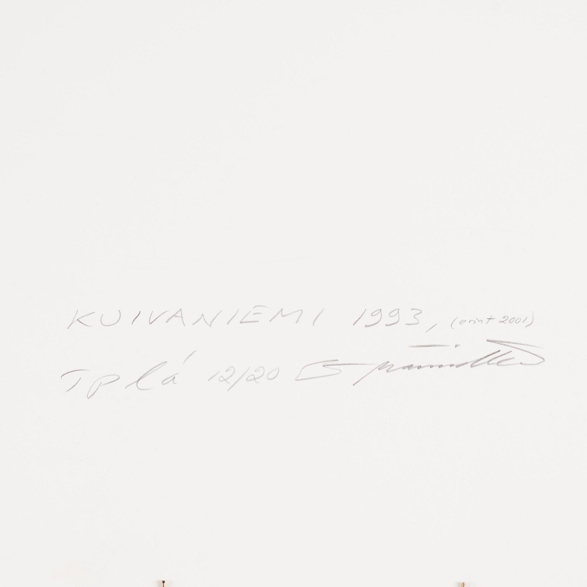 Esko Männikkö, "Kuivaniemi"", 1993.