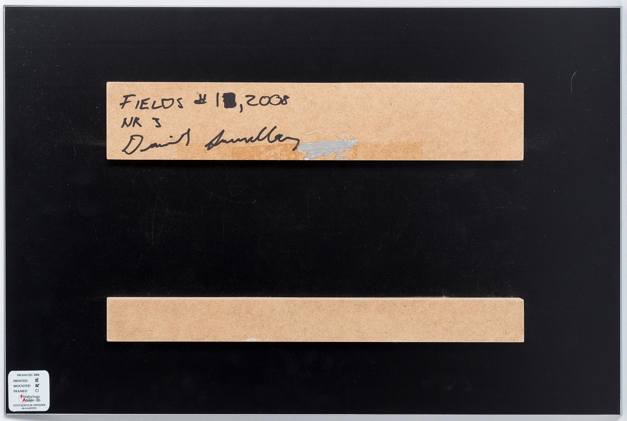 DANIEL SANDBERG, C-print, signerad och numrerad nr 3 a tergo.