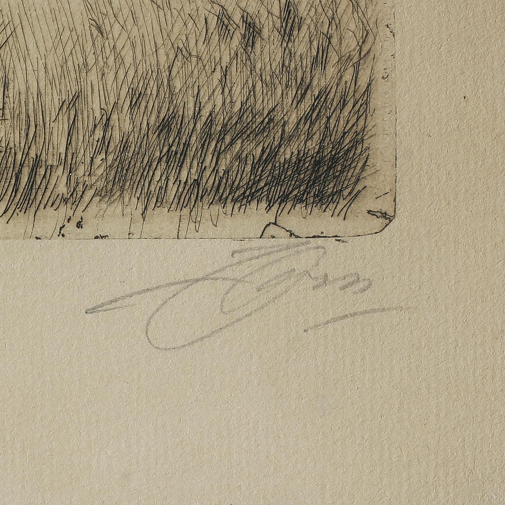 ANDERS ZORN, etsning, signerad.