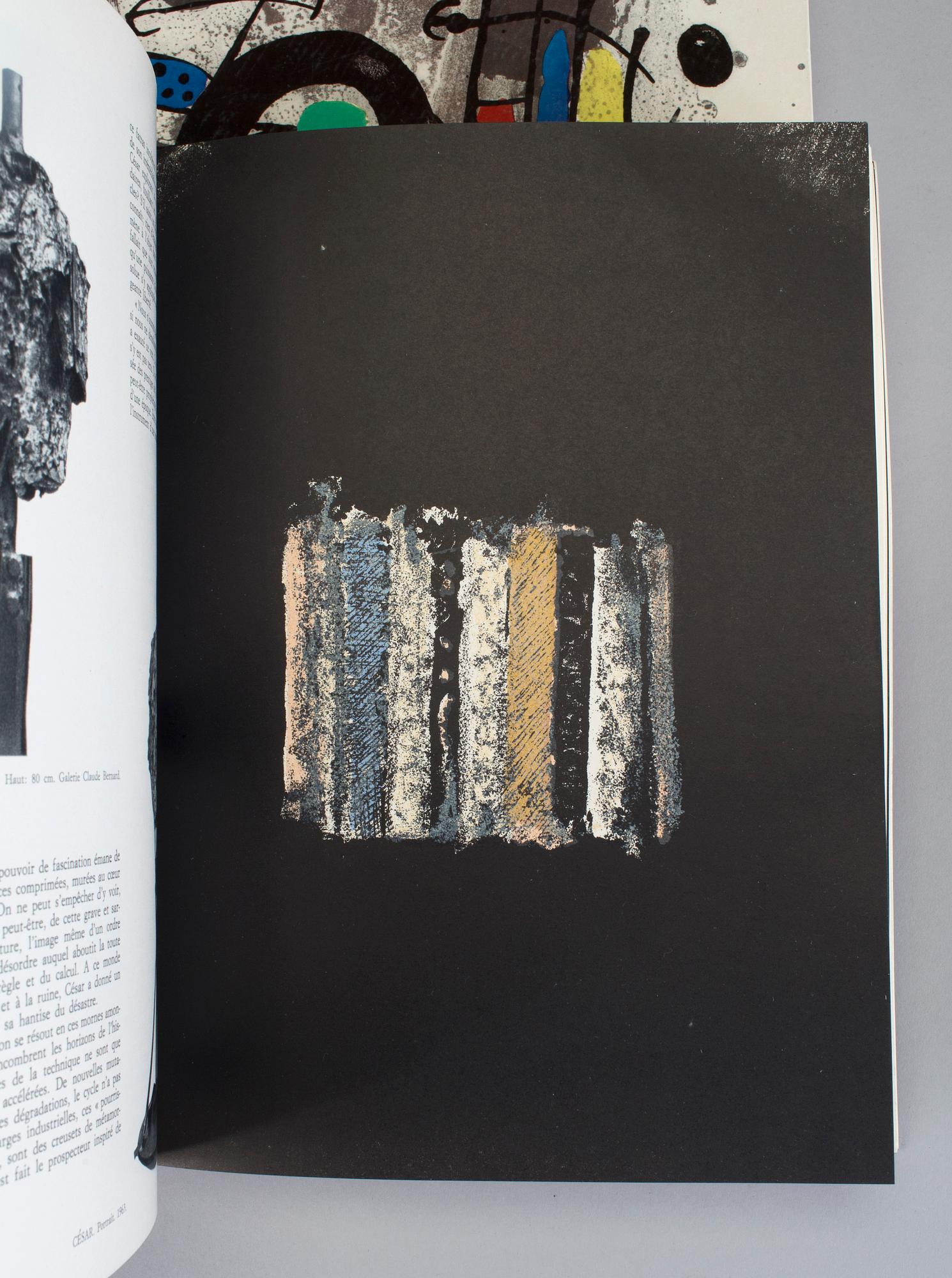 BOOK; XXe Siécle, 7 vol with litographs.