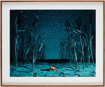 Helena Blomqvist, "Last Night for the Last Golden Frog", 2008.