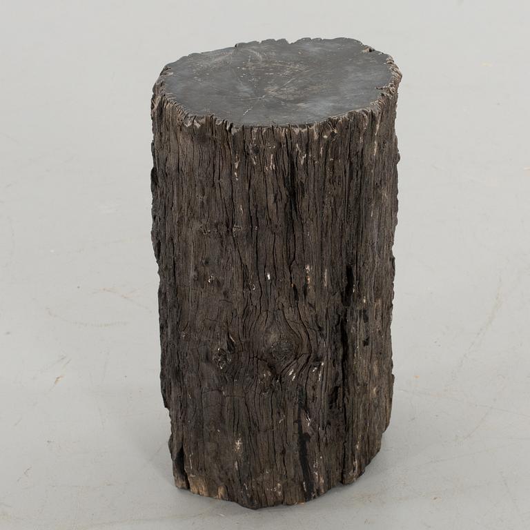 A FOSSILLISED WODDEN TREE.