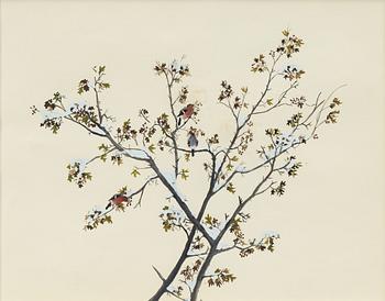 Lars Jonsson, Bullfinches.