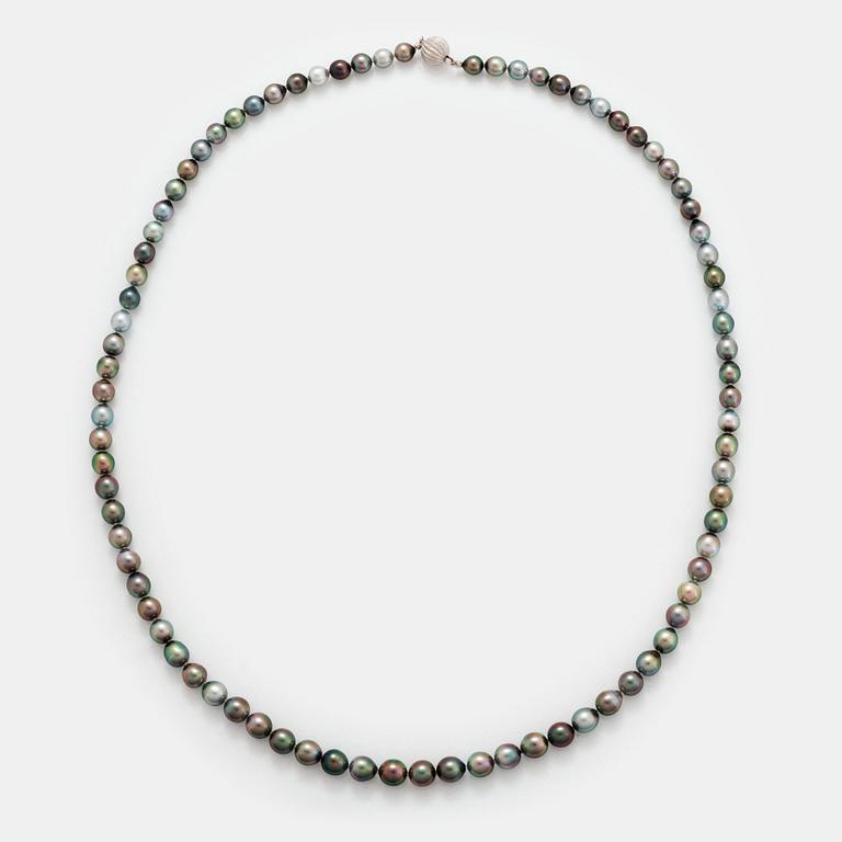 Collier odlade Tahiti-pärlor.