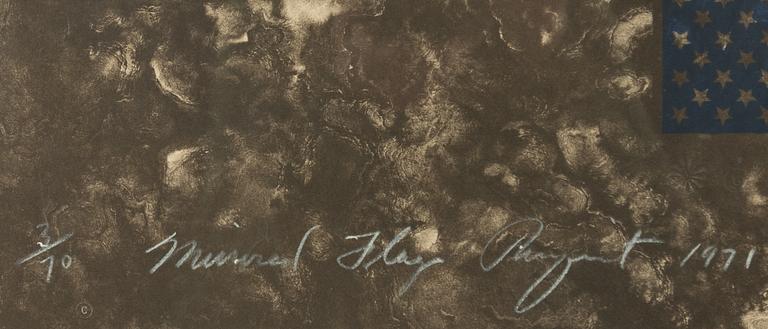 James Rosenquist, "Mirrored Flag" from Cold Light Series.