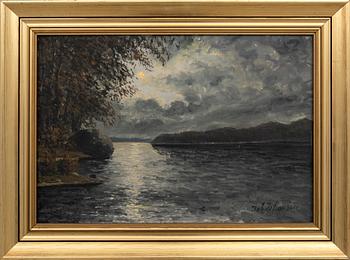 Johan Johanson, Skymning.