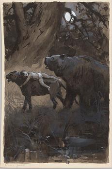 DAVID LJUNGDAHL, eight original ink illustrations from the 1915 edition of 'The Jungle Book' in Swedish.