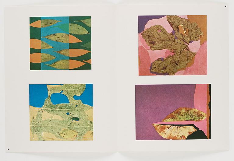 Josef Albers, "Interaction of color".