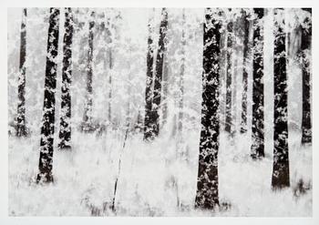 567. Christoffer Relander, "SNOWSTORM IN DRAGSVIK".