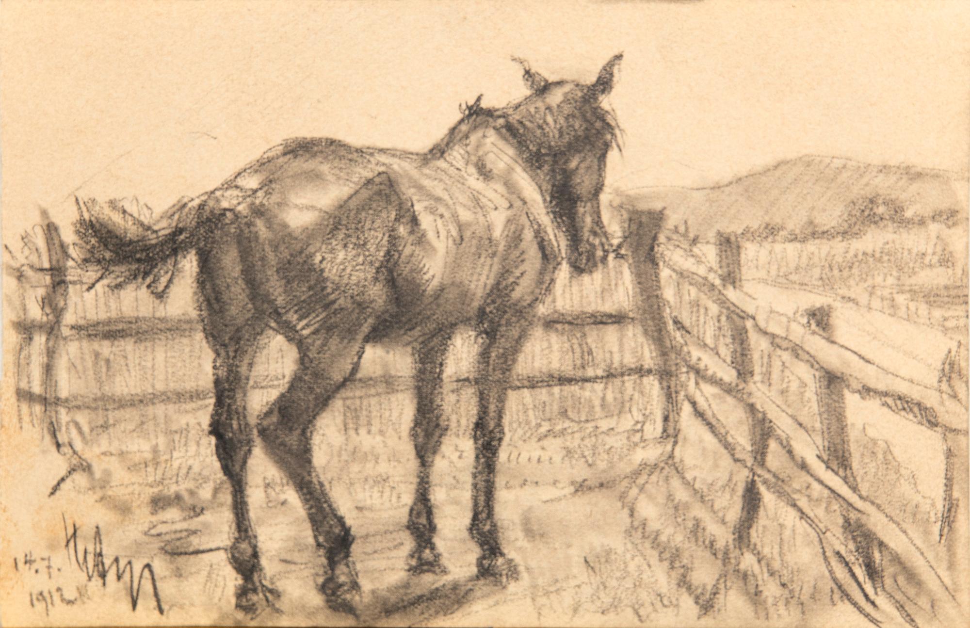 Hjalmar Asp, Animal Studies 5 pcs.