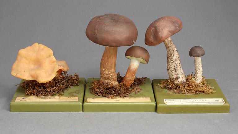 UNDERVISNINGSMODELLER, 5 st, Tyskland, 1960-tal.