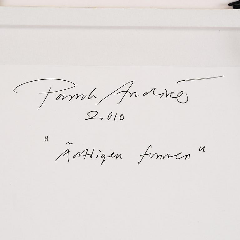 Patrik Andiné, "Äntligen funnen".