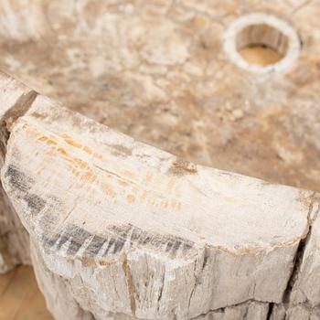 HANDFAT, fossil av förstenat trä.