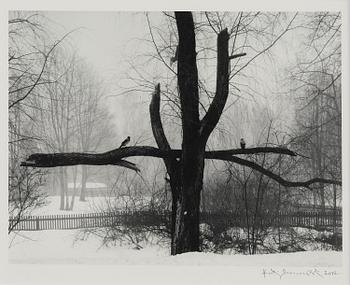 410. Pentti Sammallahti, Untitled, 2002.