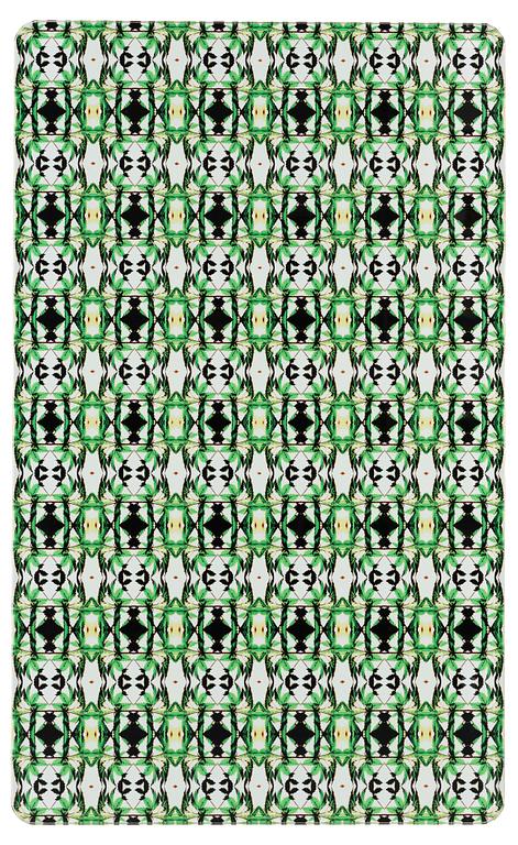 Tuija Lindström, UR "12 FRAKTALER AV EN PLANTA/12 FRACTELS OF ONE PLANT, 2004".