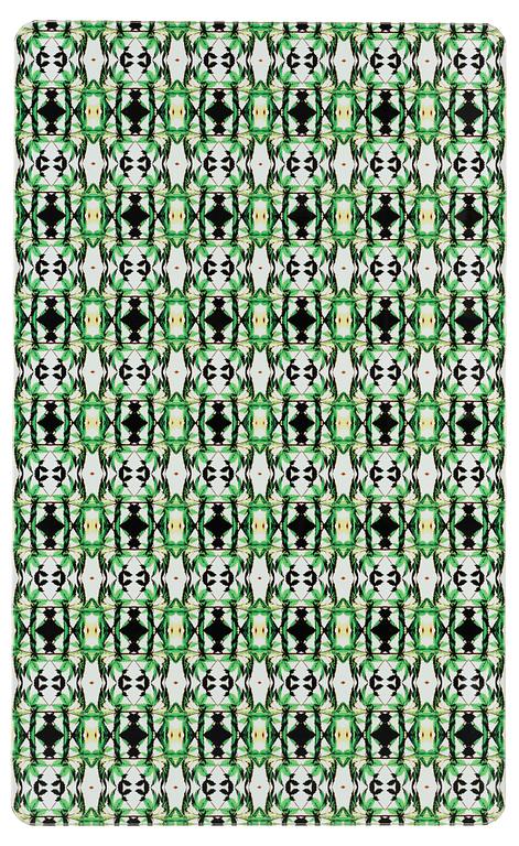 Tuija Lindström, From "12 FRAKTALER AV EN PLANTA/12 FRACTELS OF ONE PLANT, 2004".