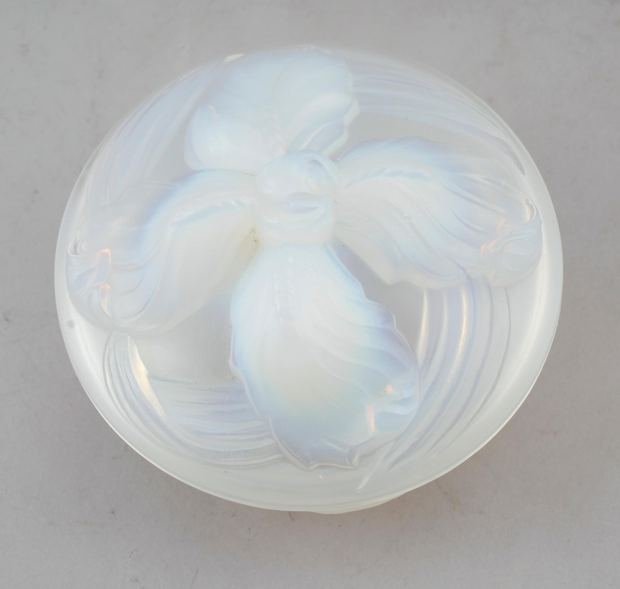 LOCKDOSA, glas, Etling, Frankrike, 1900-talets första hälft.