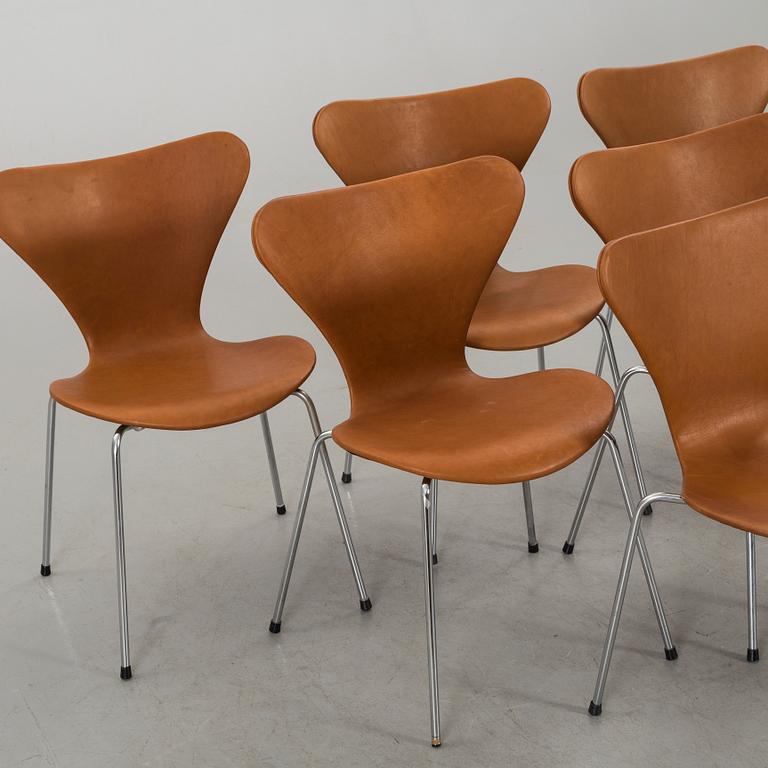 STOLAR 6 st, Arne Jacobsen, "Sjuan", Fritz Hansen, Danmark,