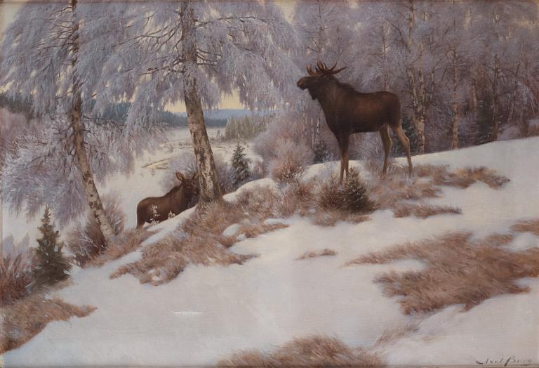 Axel Borg, Elks in winter landscape.