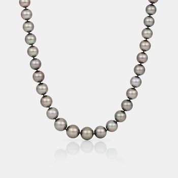 790. A cultured Tahiti pearl necklace.