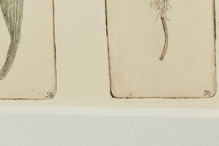 Sten Eklund, "Frukt vid buske odlad vid nr 4" From "Kullahusets hemlighet".