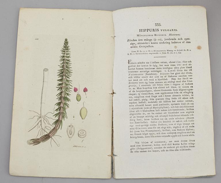 JOHAN WILHELM PALMSTRUCH, "Svensk Botanik, vol I-V. 1803-1805.