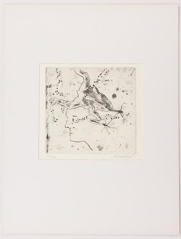 Hans Wigert, Grodgölen.