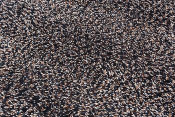 Gunilla Lagerhem Ullberg, rug, "Tekla", Kasthall, approx. 240 x 170 cm.