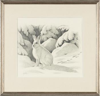 Staffan Ullström, Vinterhare.