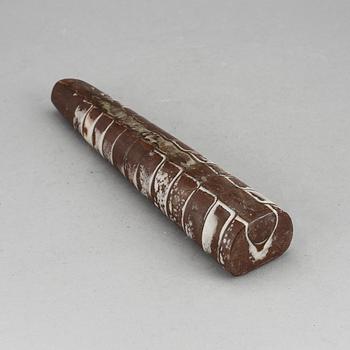 FOSSIL, ortoceratit.