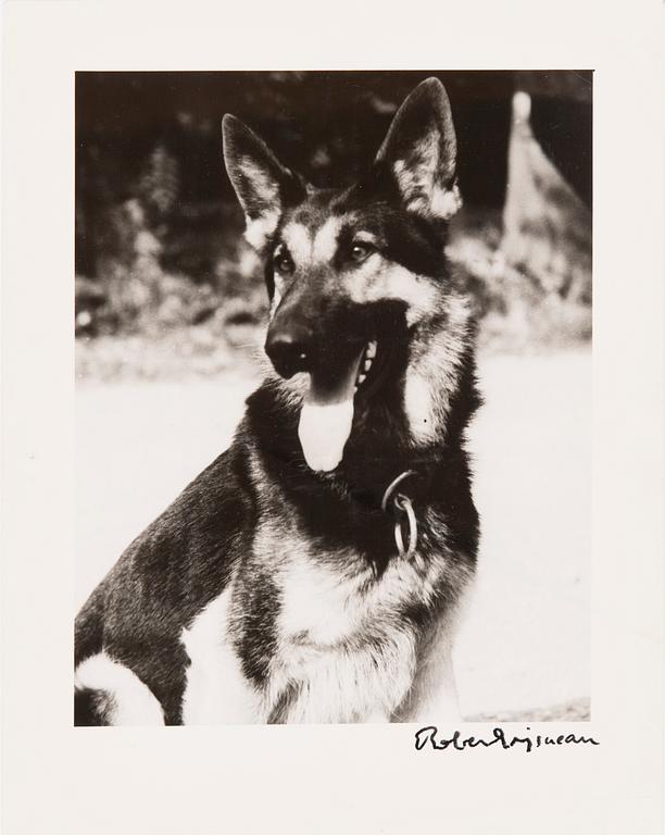 ROBERT DOISNEAU, gelatin silver print, signed. Numbered a tergo.
