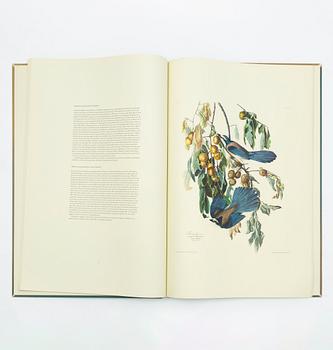 Audubon’s Birds of America.