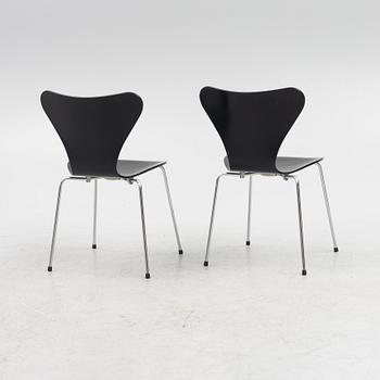 Arne Jacobsen, 6 'Serie 7' chairs, Fritz Hansen 20th century.