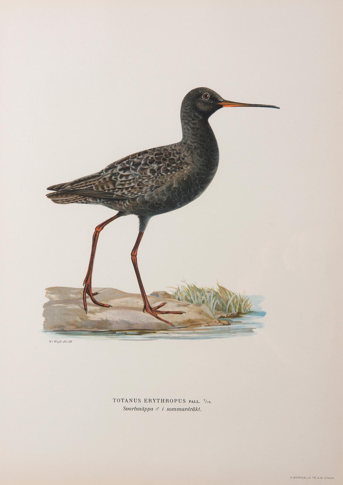 LITOGRAFIER, 6 st, efter von Wright, A. Börtzell, Stockholm.