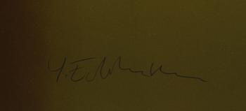 YRJÖ EDELMANN, färglitografi. Sign och numr 65/250.