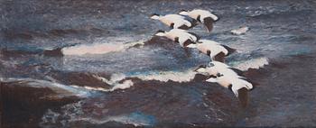 668. Bruno Liljefors, Eider ducks over the sea.