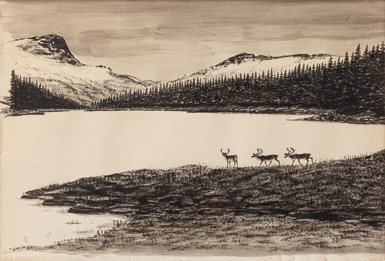 Berry Kurkkio, Reindeer by a mountain lake.