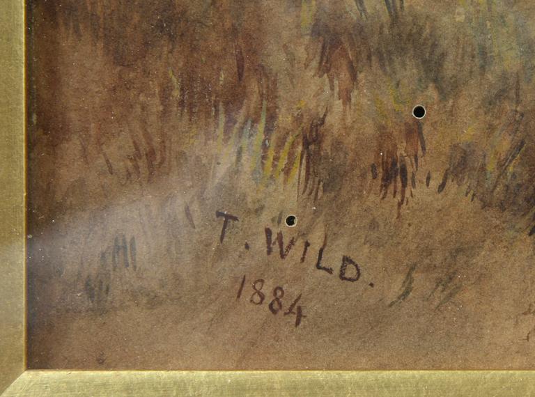 OKÄND KONSTNÄR, akvarell, sign o dat "T WILD 1884".