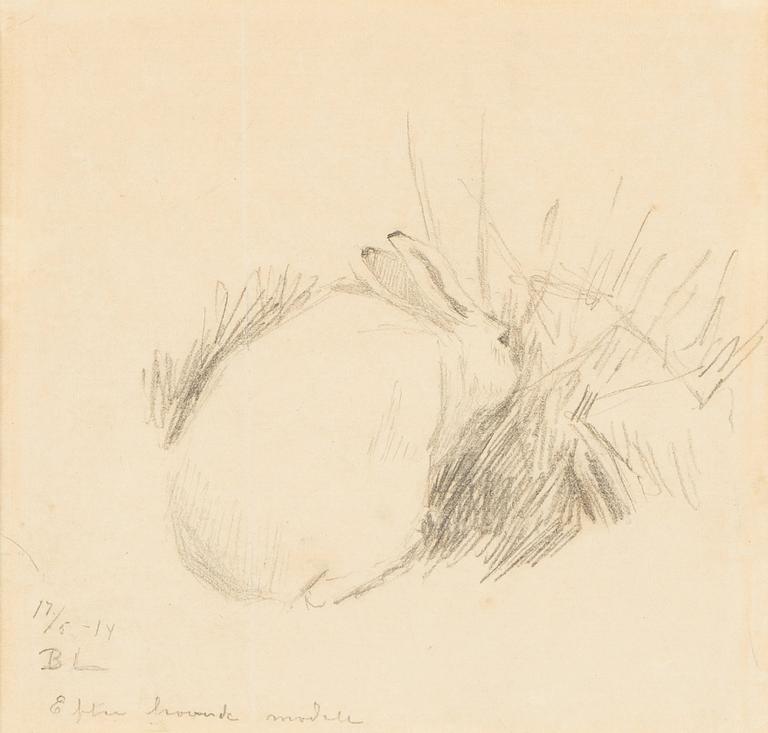 Bruno Liljefors, Studie av en hare.