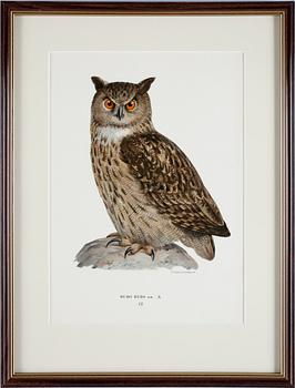 WILHELM & MAGNUS, VON WRIGHT, färglitografi, 4st, 1920.