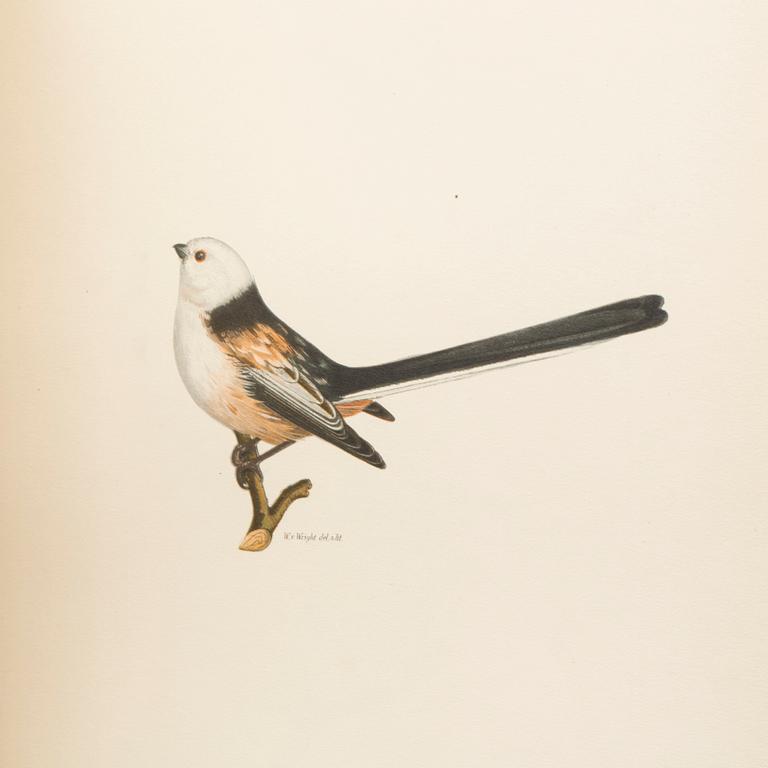 BOKVERK, 2 volymer, "Svenska fåglar",  M.W. & F von Wright. Stockholm, 1924.