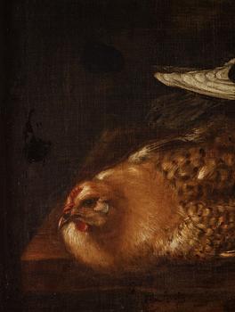 Spanish school, 17/18th Century, Still life with birds in nest / dead birds.