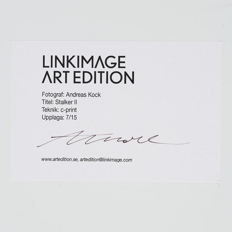 Andreas Kock, "Stalker II", 2010.