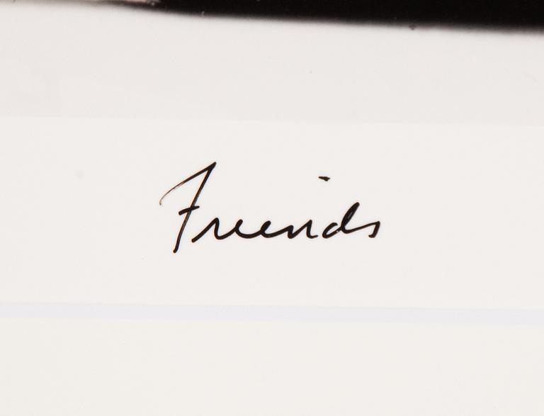 William Wegman, "Friends".