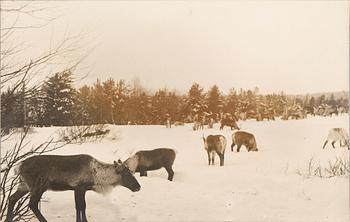 PARTI SAMEFIGURER, 11 delar, trä, 1900-talets första hälft.