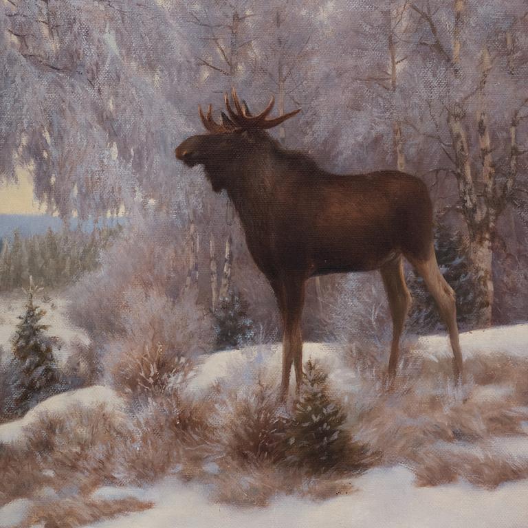 Axel Borg, Elks in winter landscape.